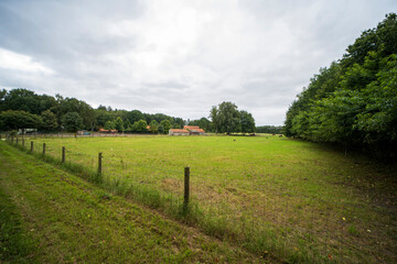Fototapeta na wymiar A grass field with a farm building near Gennep, the Netherlands