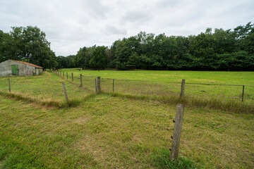 Fototapeta na wymiar A grass field with a farm building near Gennep, the Netherlands