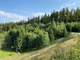 Fototapeta na wymiar Park with meadows along Lake Lepenica and the surrounding mixed forest of Gorski kotar - Fuzine, Croatia (Park s livadama uz jezero Lepenica i okolnu mješovitu šumu Gorskog kotara - Fužine, Hrvatska)