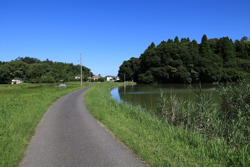 田舎の風景