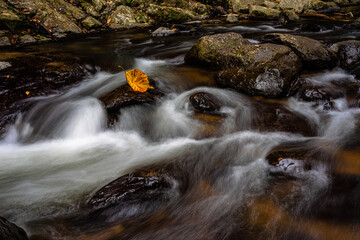 waterfall in autumn forest
