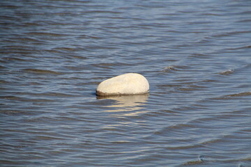 Stone In The Lake, Jasper National Park, Alberta
