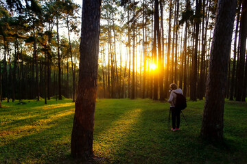 Young woman photographer trekking and taking pictures in the tropical forest