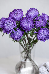 Blue chrysanthemums in a glass vase on a blurred background.
