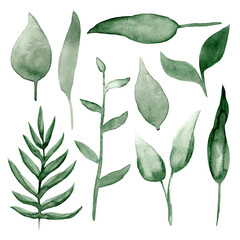 watercolor green floral set with leaves and branches isolated on white. hand drawn raster vegetation illustration  © Kamila Bay