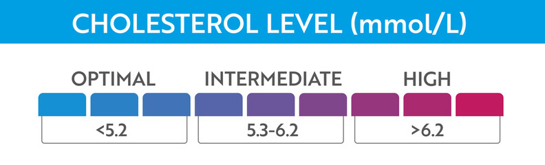 Cholesterol level meter indicator. Medical speedometer. Chat control concept presentation