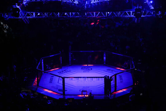 São Paulo, São Paulo, Brazil, September 22, 2018. UFC Fight Night - Marreta vs. Anders