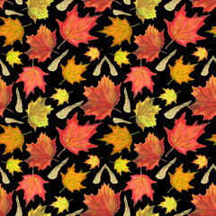 Seamless pattern of maple fruits and leaves on a black background. Beautiful autumn watercolor background for design and decor