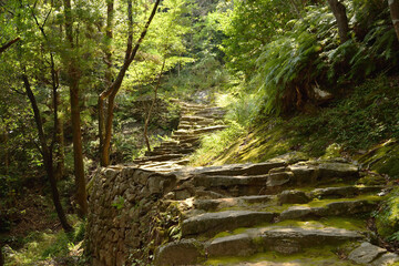 神倉山　石段１