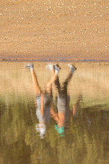 Beachwalkers upside down reflection in the water