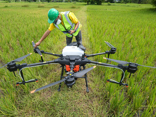 Farmer technicians prepare to remotely fly agricultural drones to fly to spray fertilizer in rice fields. Agricultural technology smart farm concept.