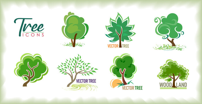 Collection of different types of trees