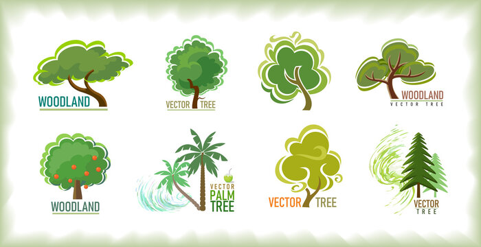 Different types of trees from tropical and European regions.