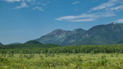 Fototapeta na wymiar A picturesque mountain range against the blue sky. Deciduous forest at the base. In the foreground is a lush green meadow. A sunny summer day. Kamchatka.
