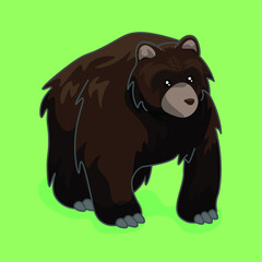 Brown bear vector illustration, cute mammal.