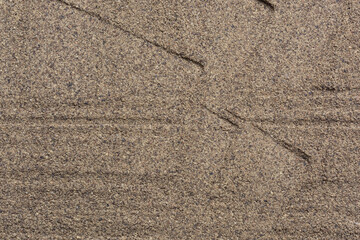 flat background of black ground pepper on white background