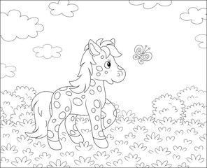 Spotted cute little pony playing with a merry flittering butterfly on a pretty summer field, black and white outline vector cartoon illustration for a coloring book page