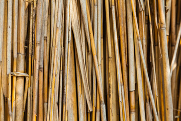 Dry reed fence. Background from dry reed sticks.