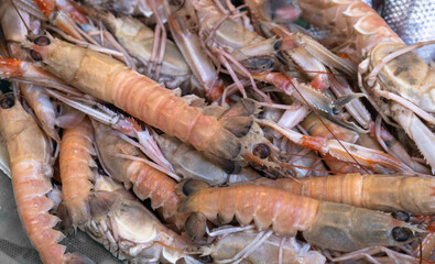 fresh shrimps at the fish market. prawns.
