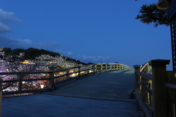 錦帯橋と岩国の夜桜の風景！山口県観光春の岩国市横山の町並み