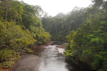 Maliau basin, rainforest in Borneo, Malaysia.