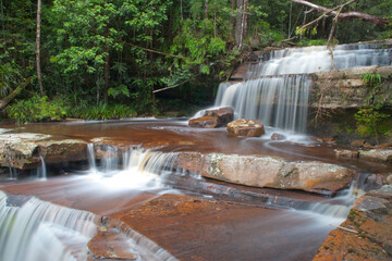 Maliau basin, rainforest in Borneo, Malaysia.