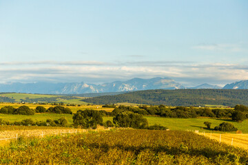 Landscape with the Tatra Mountains in the background
