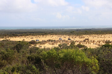 View over the Pinnacles Desert in the Nambung National Park, Western Australia.
