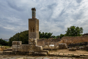 Fototapeta premium Rabat, Morocco – December 09, 2015 – View of the ruins of the medieval fortified Muslim necropolis of Chellah. The site, as part of the metropolitan Rabat, was granted World Heritage Status in 2012