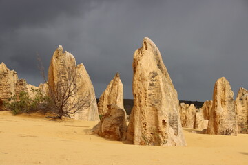 Fototapeta na wymiar Threatening sky over the Pinnacles Desert in the Nambung National Park, Western Australia.
