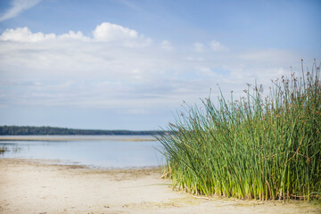summer seascape on the baltic sea