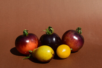Tomaten verschiedener Sorten vor braunem Hintergrund, rot, gelb, schwarz, frische Tomatenernte, seltene Sorten