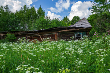 a ruined rural house