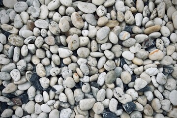Smooth round pebbles texture background. Pebble sea beach close-up, dark wet pebble and gray dry pebble. 