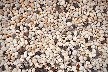 Smooth round pebbles texture background. Pebble sea beach close-up, dark wet pebble and gray dry pebble. 