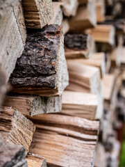 View of the firewood ready for drying.