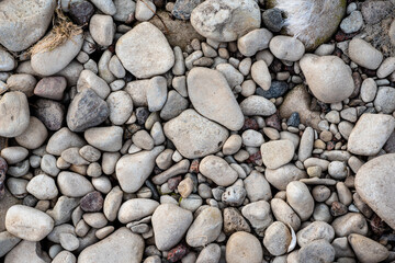 texture of pebbles on the beach