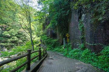 山道 歩道 登山 ハイキング