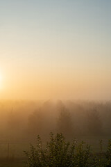 Obraz na płótnie Canvas Beautiful foggy morning on the park. Autumn morning background concept
