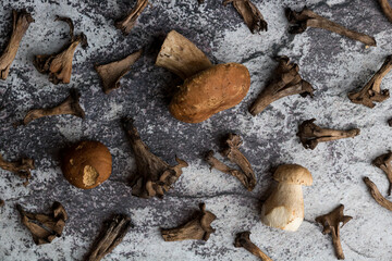 Composition of different kinds of mushrooms from the forest on a grungy dark concrete background