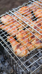 shish kebab chicken fried on the grill barbecue food cottage garden vegetables
