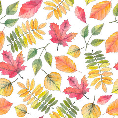 Autumn watercolor leaves. A pattern on a white background.
