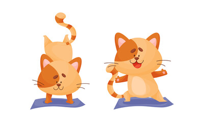 Ginger Cat with Striped Tail Doing Yoga Standing in Asana Vector Set