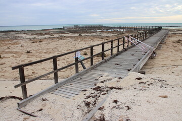 Fototapeta na wymiar Cyclone damaged boardwalk, Hamelin Pool, Western Australia.