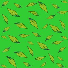 Leaves on isolated green background