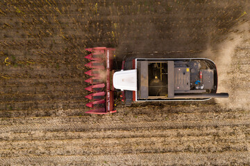Combine harvester harvesting sunflower field at sunset. Aerial drone point of view.