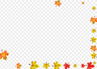 Autumnal Leaves Background Transparent Vector. Foliage Bright Frame. Brown October Floral. Down Plant Illustration.