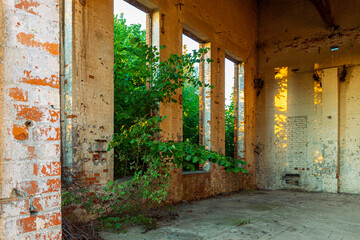 Urbex. Abandoned brickyard.