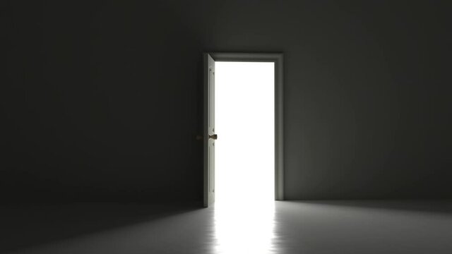 Door opening 3d