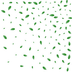 Green Vegetation Background White Vector. Leaf Motion Card. Pure Design. Light Green Agriculture Frame. Leaves Drink.